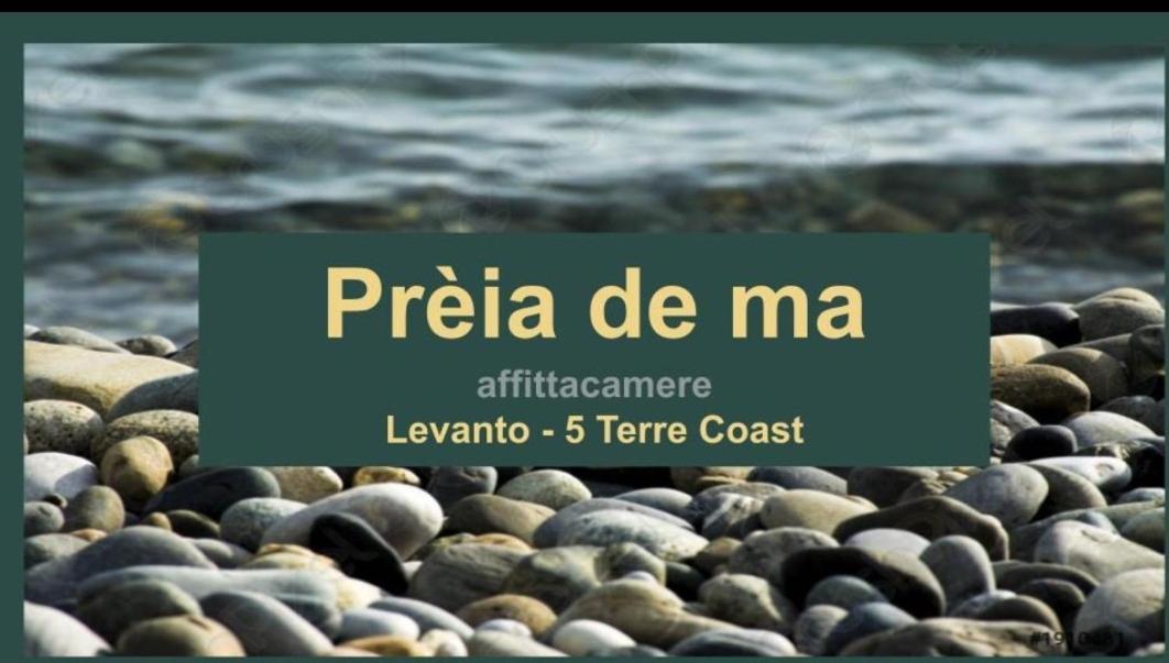 Hotel Preia De Ma Levanto Zewnętrze zdjęcie
